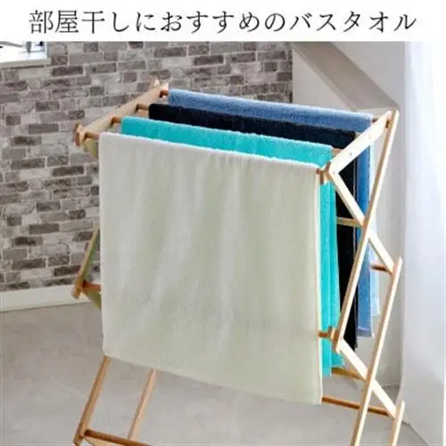 泉州タオル【日本製】ホテルスタイル ミニバスタオル　クラシックブルー 2枚セット【1724711】