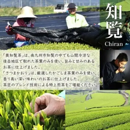 【新茶】知覧茶初摘み3本入【1734416】