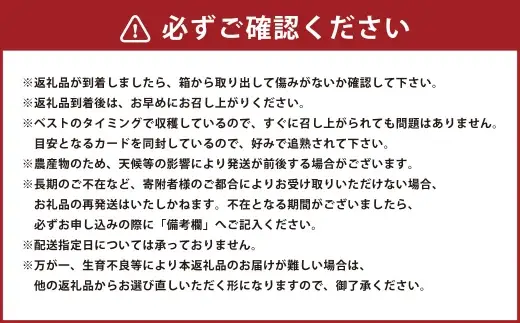 隠れた赤肉メロンの名品 ☆ 肥後ロッソメロン ロッソメロン メロン 国産 熊本県産 果物 くだもの フルーツ 果実 赤肉 ロッソ 【2026年6月下旬発送開始】