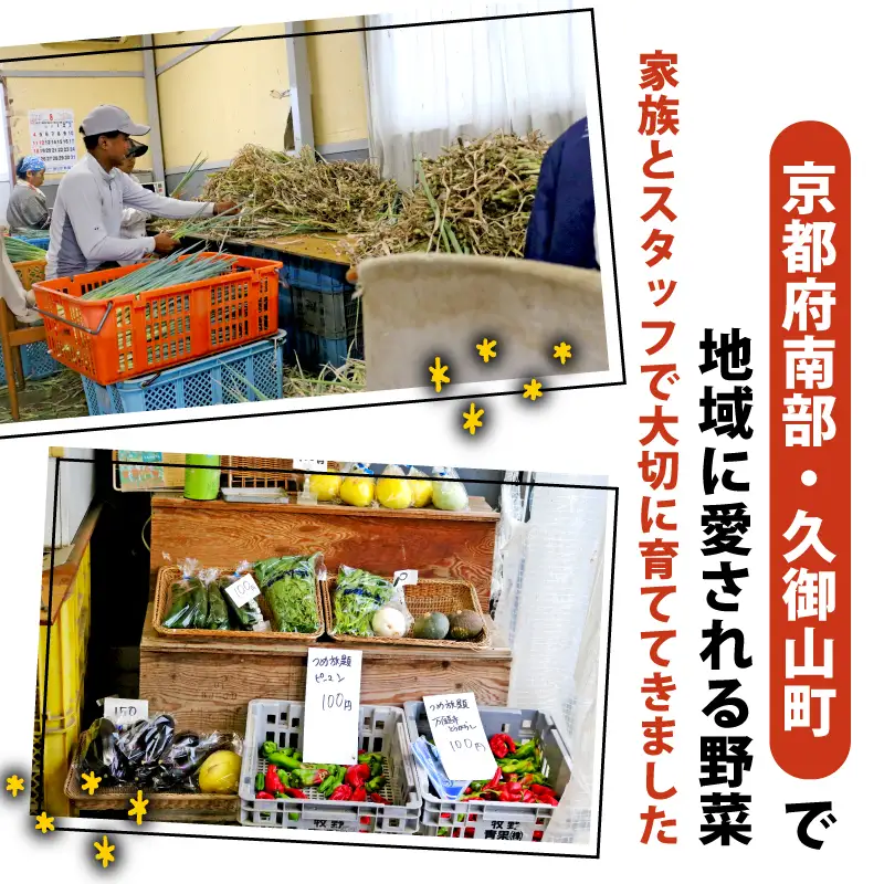【6月～9月発送】 夏野菜セット おまかせ 6～8種 京都 期間限定