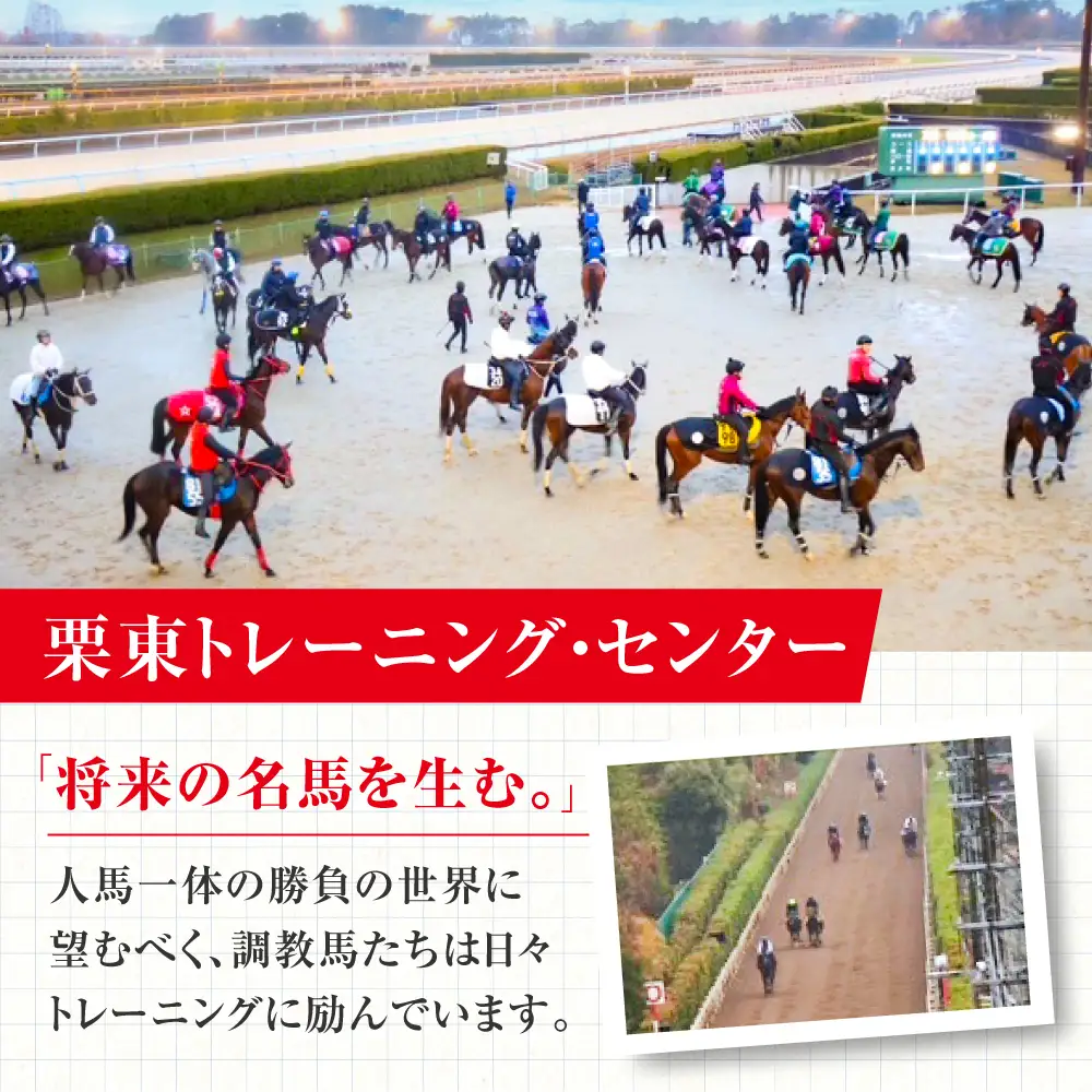 【父の日】【JRA/日本中央競馬会】調教用ゼッケンと調教師サイン色紙 (栗東カラー) BIAM006 競馬 