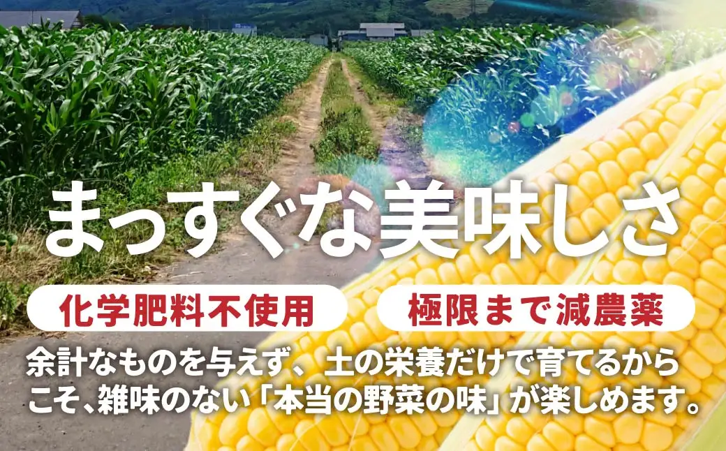 とうもろこし ミルキースイーツ 10本 ゴールドラッシュ トウモロコシ