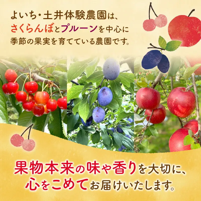 北海道余市町産 太陽の恵み 果汁100% りんごジュース  1L×10本入り 有機栽培 ストレート果汁_Y127-0013