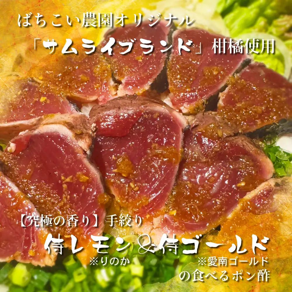  鰹のタタキ 専用 ポン酢醤油 200ml 2本セット 手作り 手作業 究極 自家製 かつお たたき ぽん酢 ポン酢 調味料 国産 産地直送 レモン みかん 河内晩柑 愛媛県 愛南町 ばちこい タタキと一緒に お試し 10000円