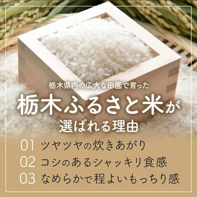 令和7年度産 米 栃木県産 コシヒカリ 白米 5kg《7-14日以内に出荷予定(土日祝除く)》栃木県 野木町 米 白米 精米 国産 お米 おこめ お弁当 おにぎり【栃木県共通返礼品】