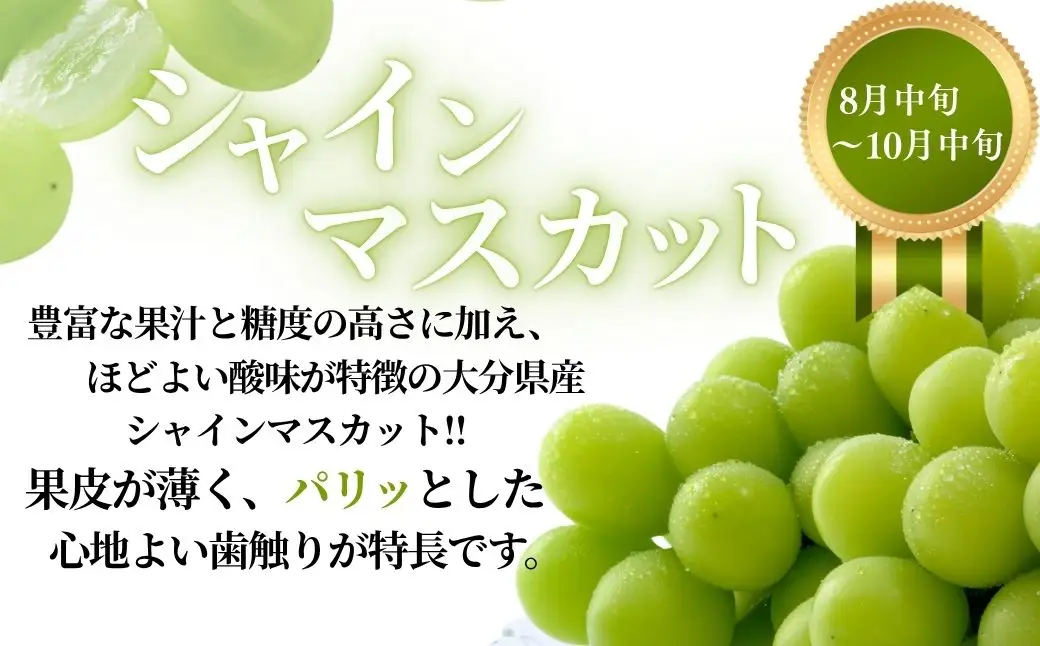 フルーツ 定期便 大分県産旬の フルーツ（全４回） | 津久見市