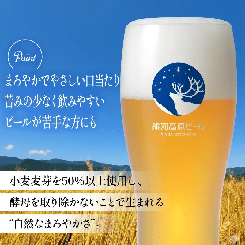 3ヶ月コラボ定期便 一番搾り 豊潤ラガー496 銀河高原 ビール 飲み比べ セット 彦根 滋賀