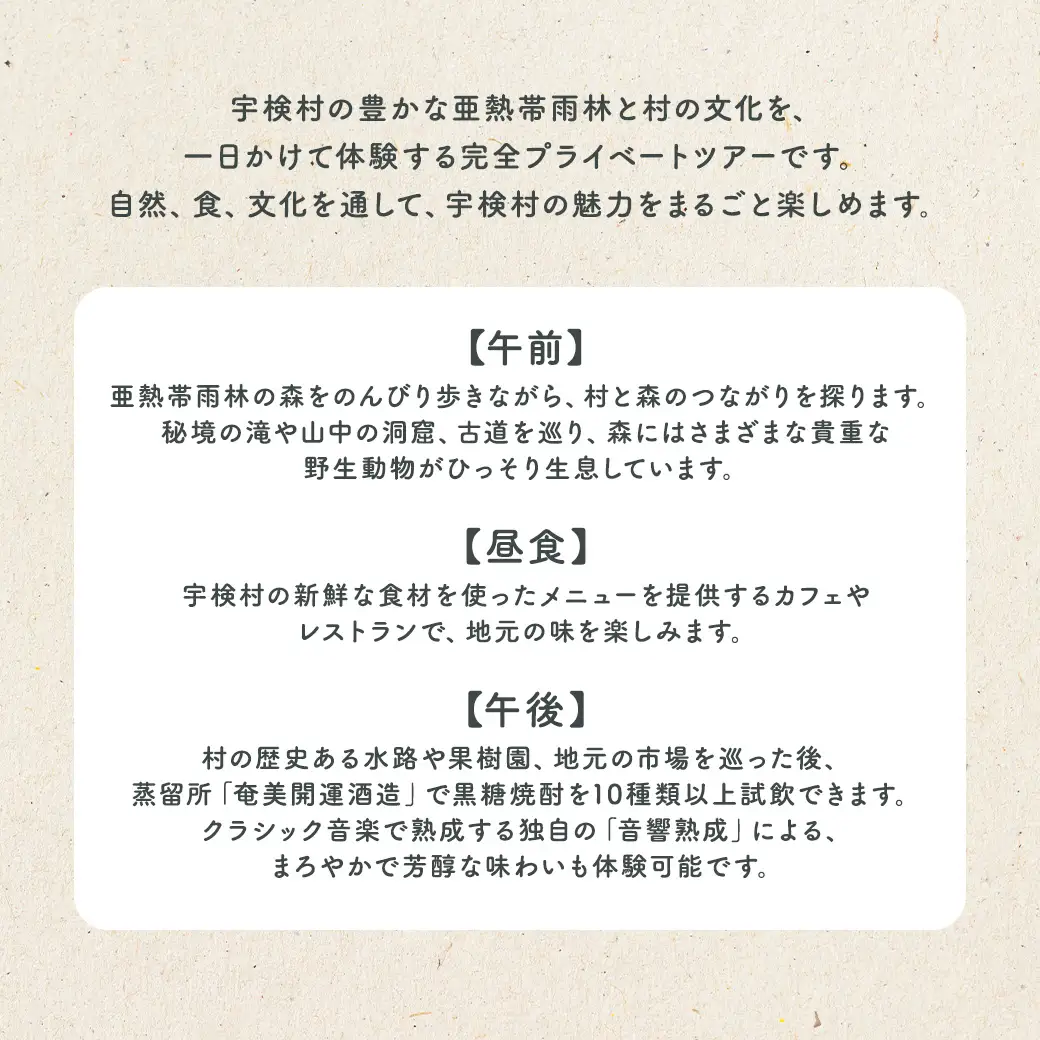 宇検村ジャングル＆村体験ツアー 3名様 奄美大島 宇検村 鹿児島県 旅行 自然 冒険 完全プライベート