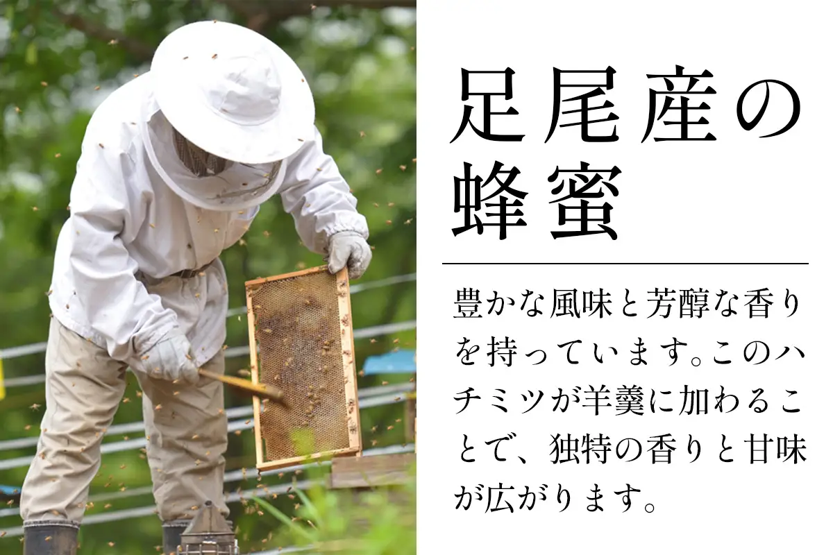 足尾蜂蜜羊羹 木箱入(50g×5本) 足尾銅山の森林再生から生まれた蜂蜜 [0938]