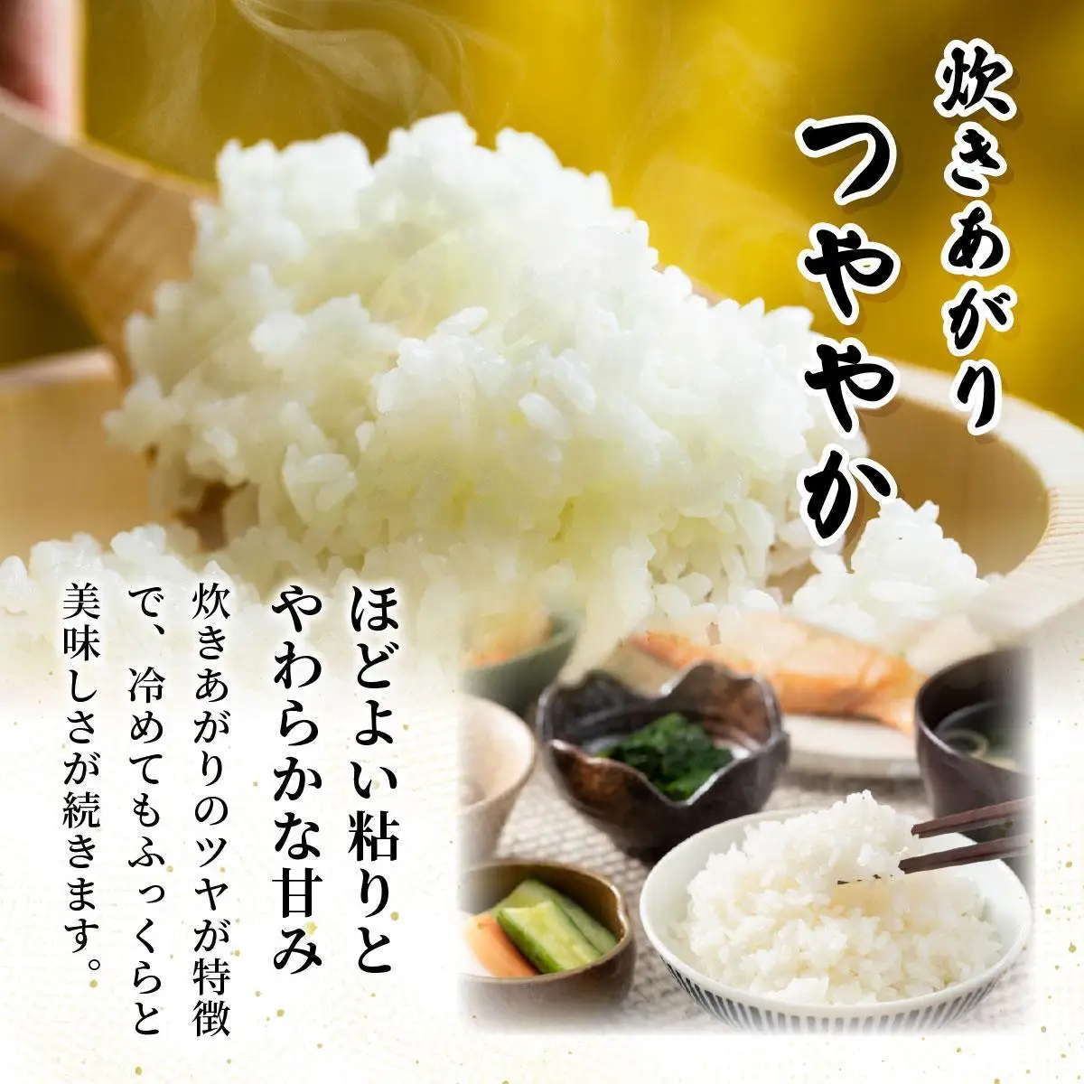 【令和7年産】福岡県産夢つくし10kg