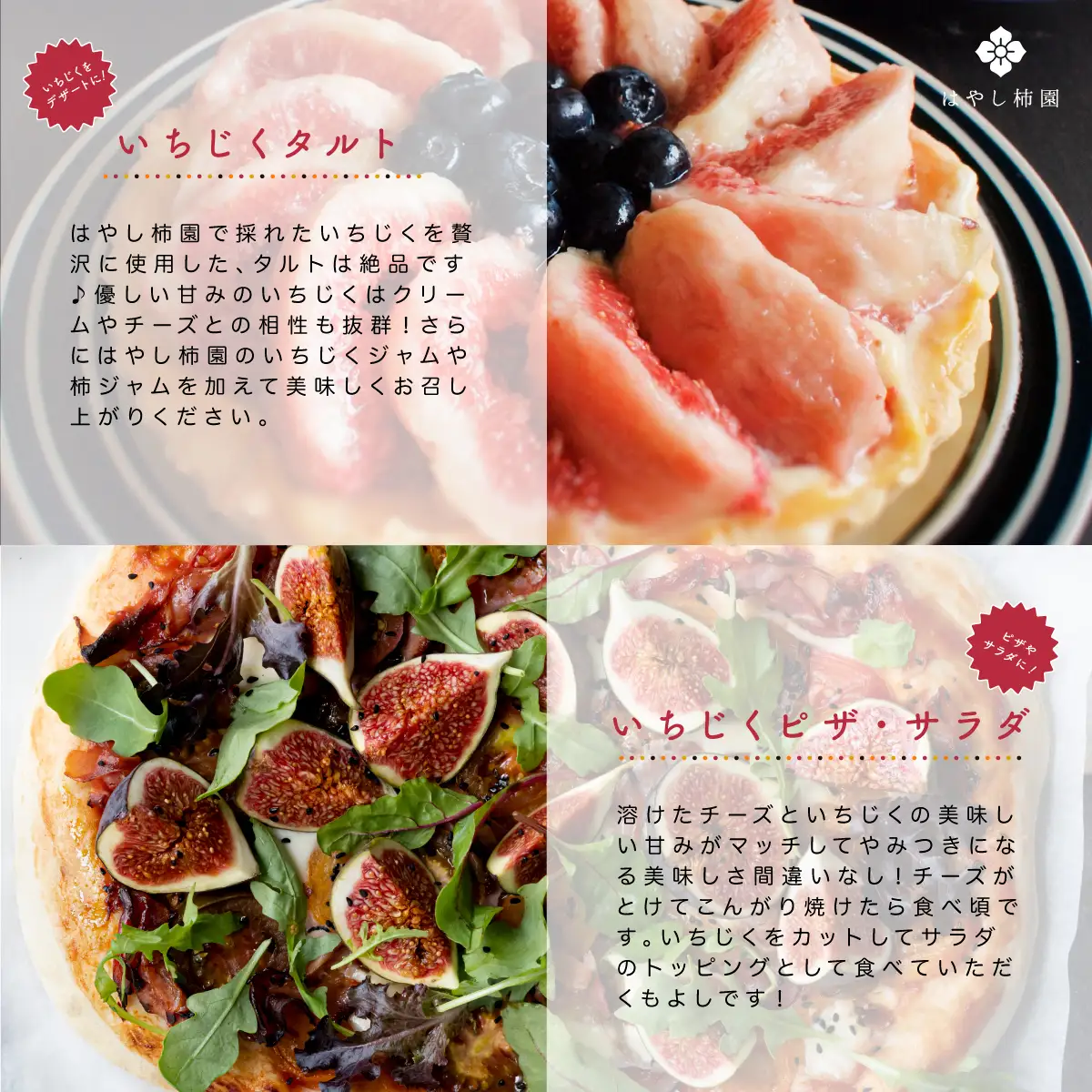 【先行予約】上品な甘みとうまみ！林柿園のいちじく うましずく400g×4P 約1.6kg | 無花果 イチジク 果物 くだもの フルーツ 生 甘い 朝ごはん 朝食 デザート お取り寄せ 国産 産直 岐阜県 瑞穂市 ※2026年8月～発送