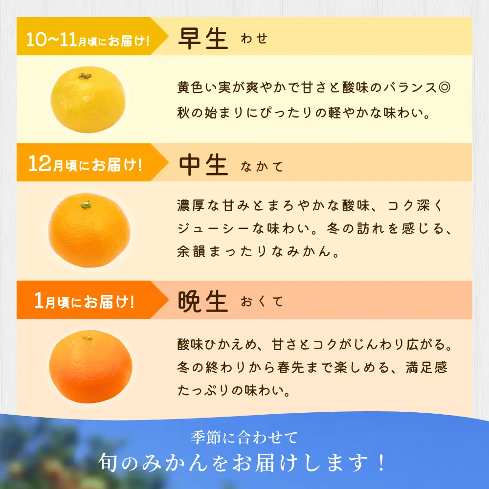 みかん【贈答用】 森本農園 約10kg 【2026年10月中旬～2027年2月中旬ごろに順次発送】【BV-mrmt093】
