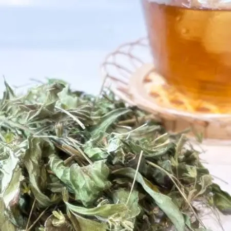 ステビア乾燥茶葉(50g)【1728478】