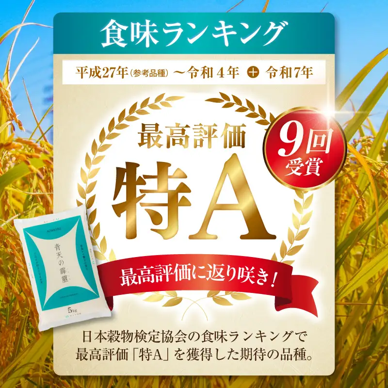 米 5㎏ 青天の霹靂 令和7年産 青森県産 （精米）青森県五所川原市