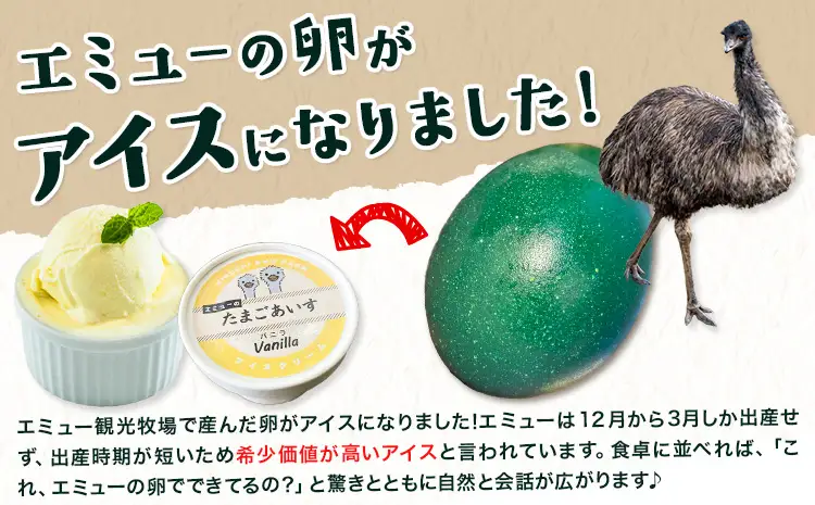 エミューのたまごアイス 6個入り エミュー観光牧場 《30日以内に出荷予定(土日祝除く)》 熊本県 菊池市 卵 たまご エミュー 食用卵 アイス デザート 国産 熊本県産 産地直送 送料無料