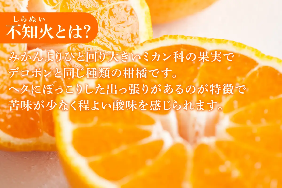 【お中元 外熨斗対応可能】知多市産不知火ジュース　6本