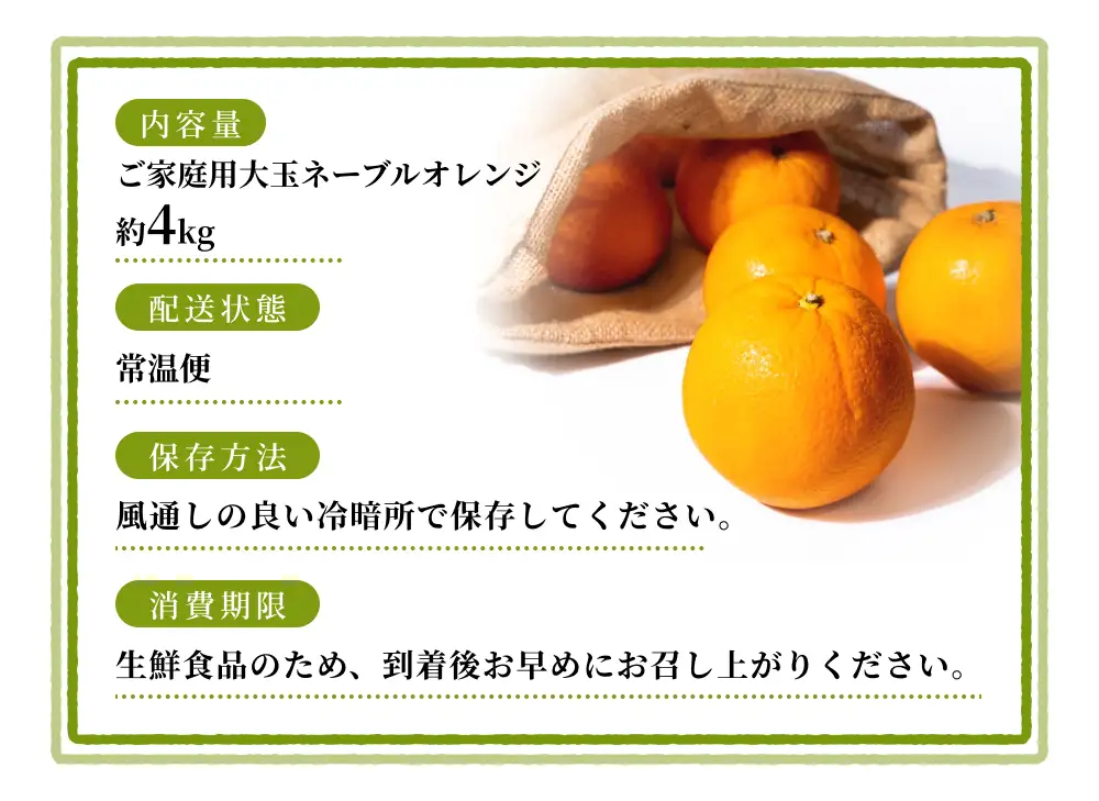 みかん【訳あり・ご家庭用】 森本農園 大玉ネーブルオレンジ 約4kg 【2027年1月上旬～2月中旬頃に順次発送】【BV-mrmt094】