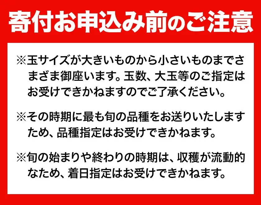 【全2回】晴れの国定期便 桃1.3kg マスカット2kg 定期便