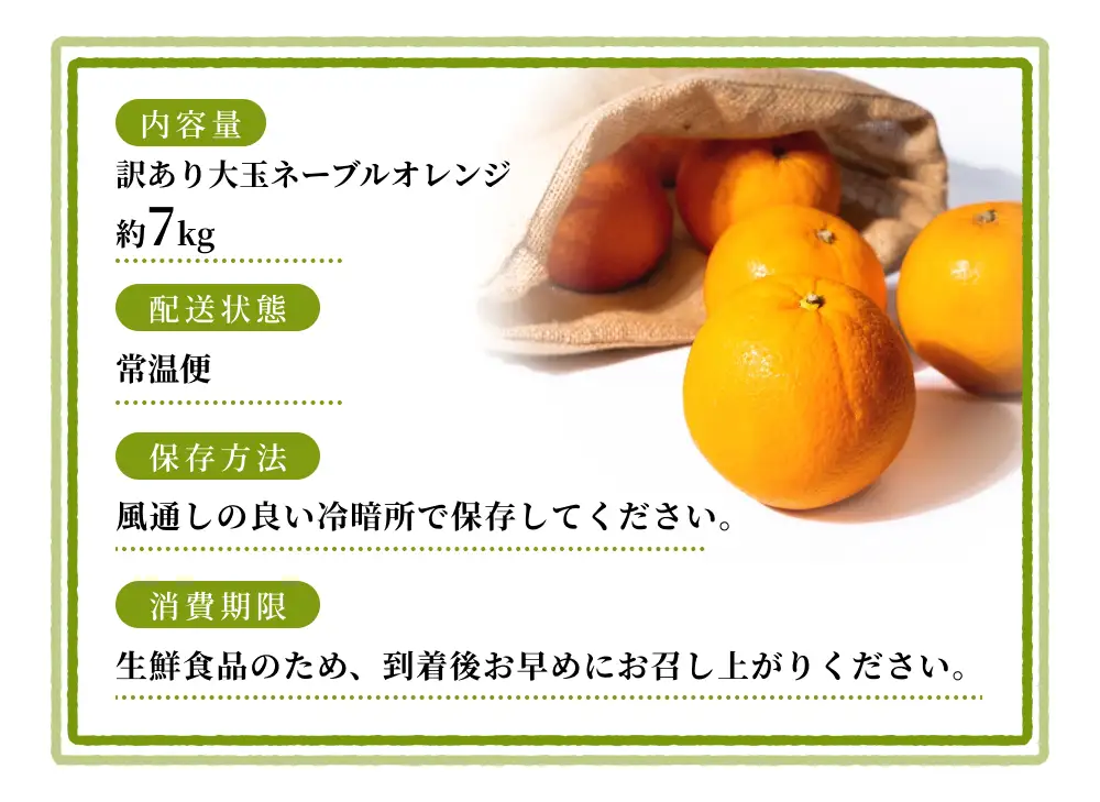 みかん 【訳あり・ご家庭用】 森本農園 大玉 ネーブルオレンジ 約7kg 【2027年1月上旬～2月中旬頃に順次発送】【BV-mrmt097】