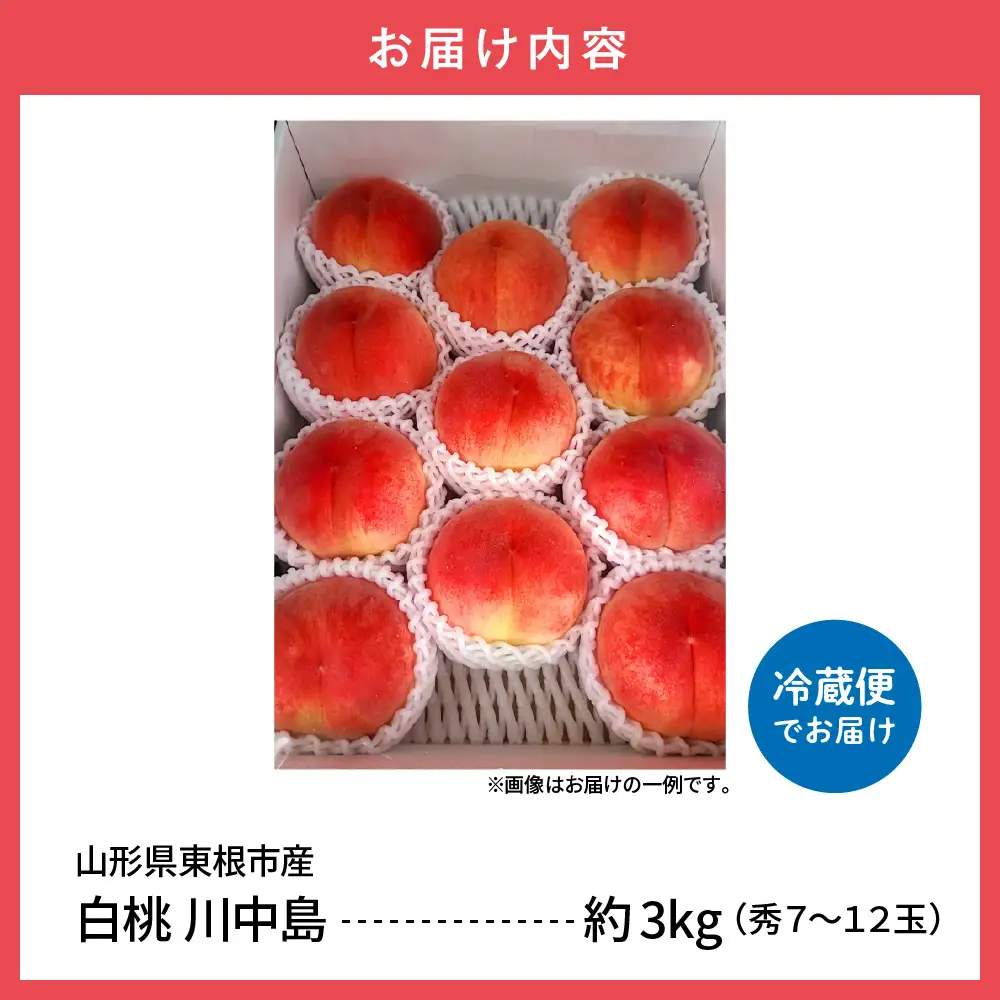 【2026年産】 白桃 川中島 3kg 白桃 川中島 桃 もも ピーチ