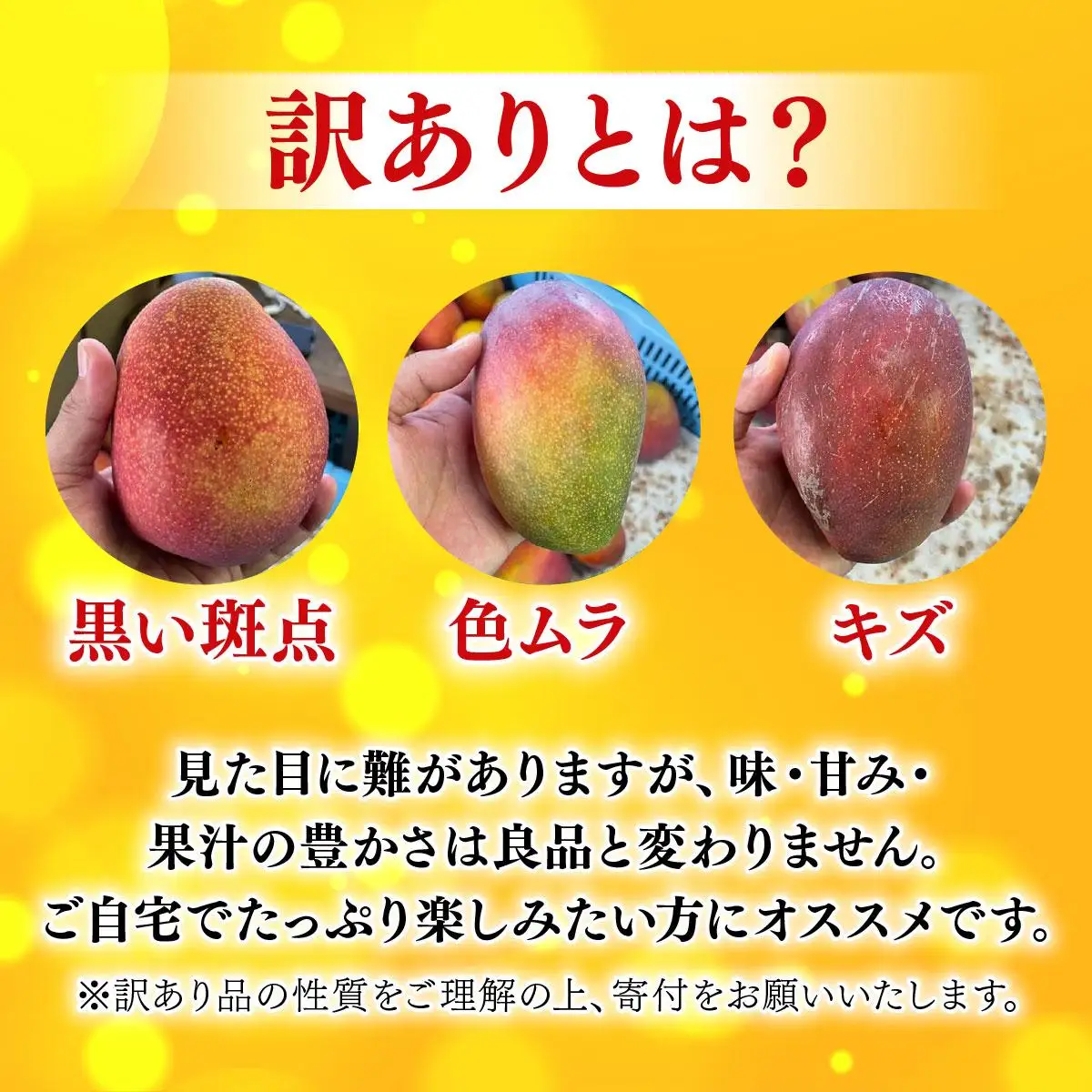 【2026年夏発送】【先行予約】訳あり  アップルマンゴー！2kg箱(4～6玉)