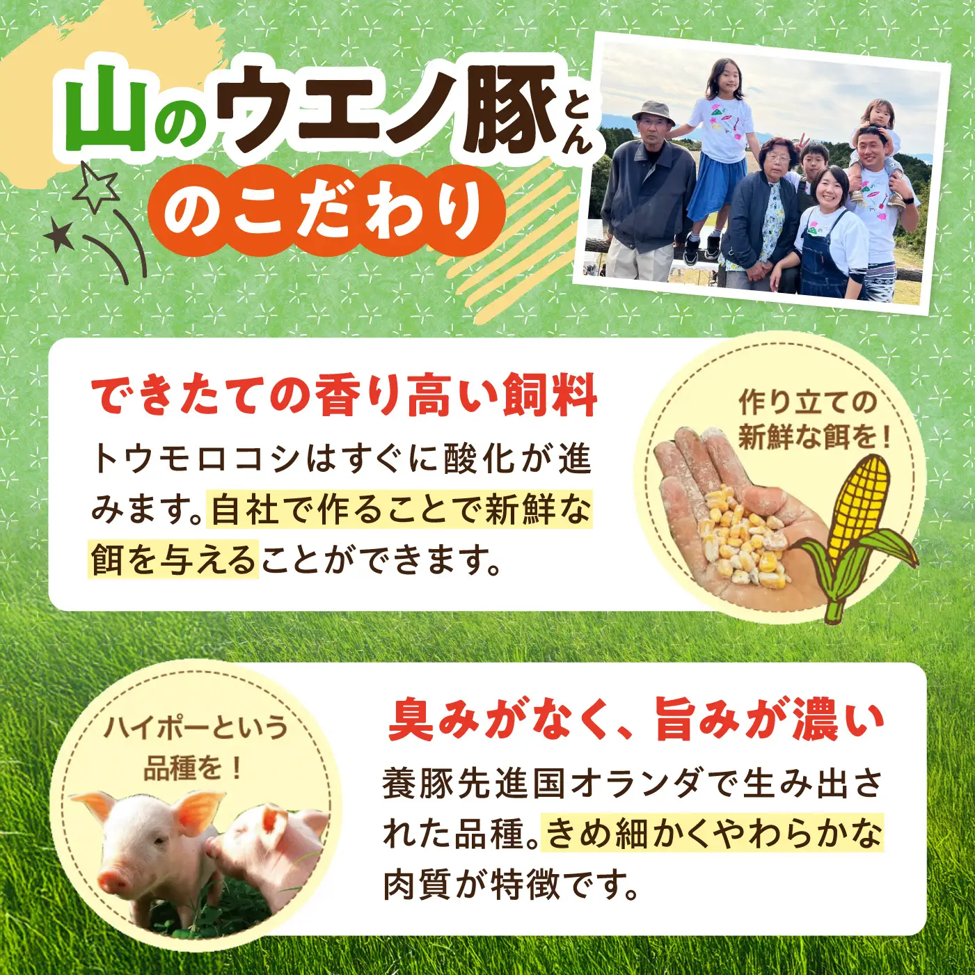 「山のウエノ豚」 豚バラ スライス 1kg（500g×2）/ 豚肉 バラ / 大村市/合同会社肉のマルシン[ACCF004]