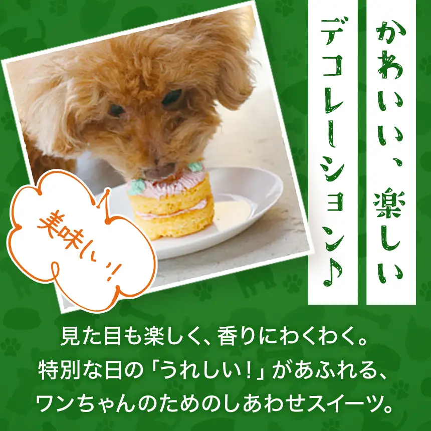信州 ＆ 八ヶ岳 ミート ケーキ ミニ パーティー セット 6種入 ( 犬用 )