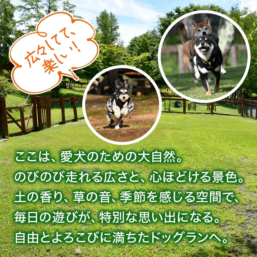 【ビジター限定】 八ヶ岳 ドッグラン 「 わんこのお庭 」 会員登録 ＋ 回数券 11枚