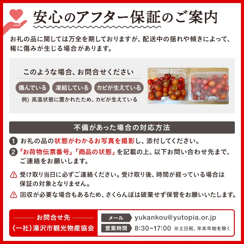 職人が本気で作ったこだわりのさくらんぼ！秋田県三関（みつせき）産【令和8年産先行予約】 さくらんぼ 佐藤錦 秀品 Lサイズ (250g×2P) 常温 朝採れ 産地直送 【6月中旬から発送開始予定】 ふるさと納税 さくらんぼ 果物 [B3-3201]