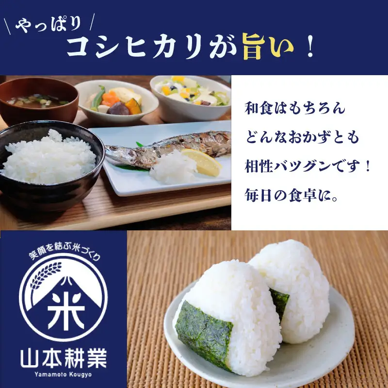 コシヒカリ 5kg 牧之原市 静岡県 山本耕業