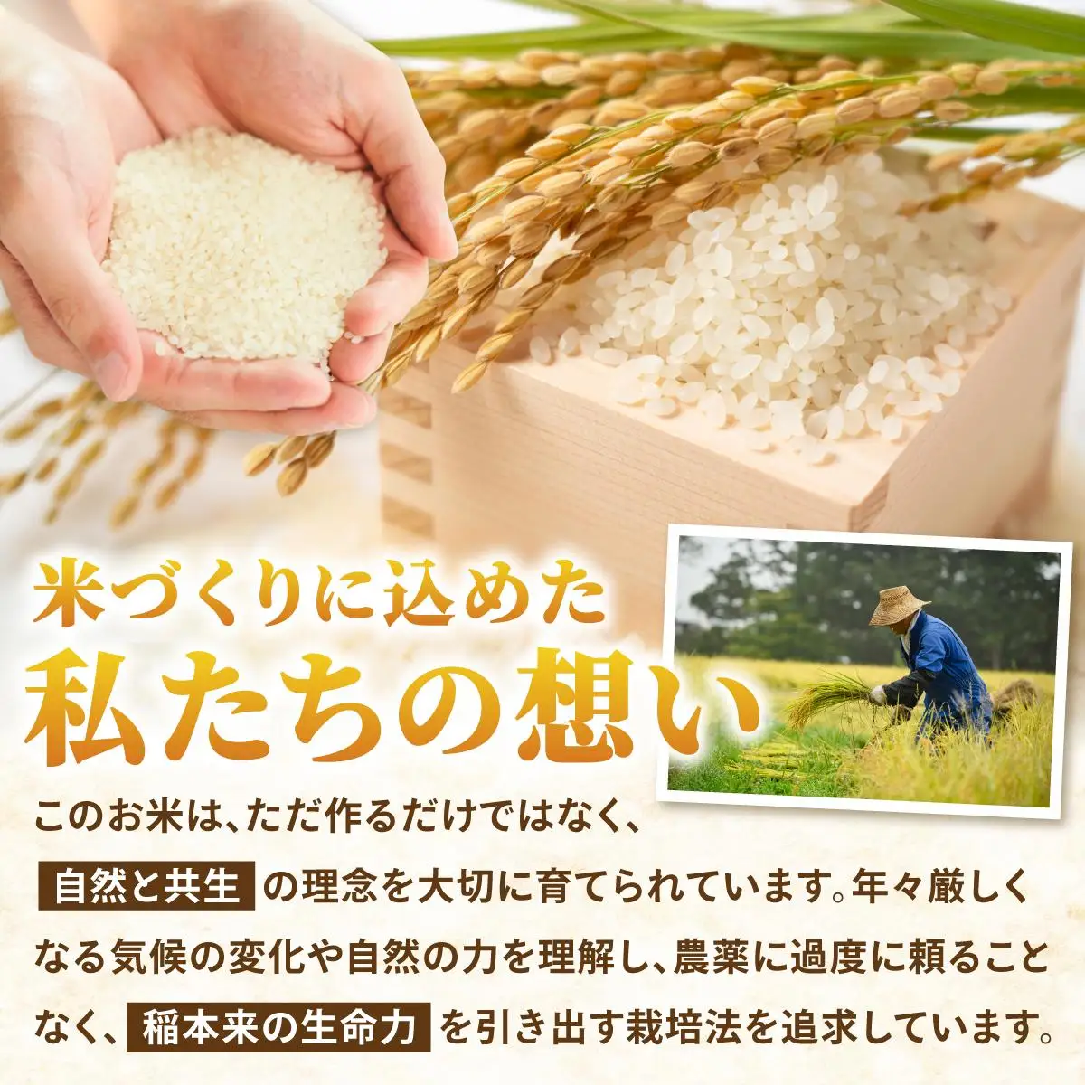 【令和7年度産】藤の米(ふじのまい) 5kg【フジノ農園】