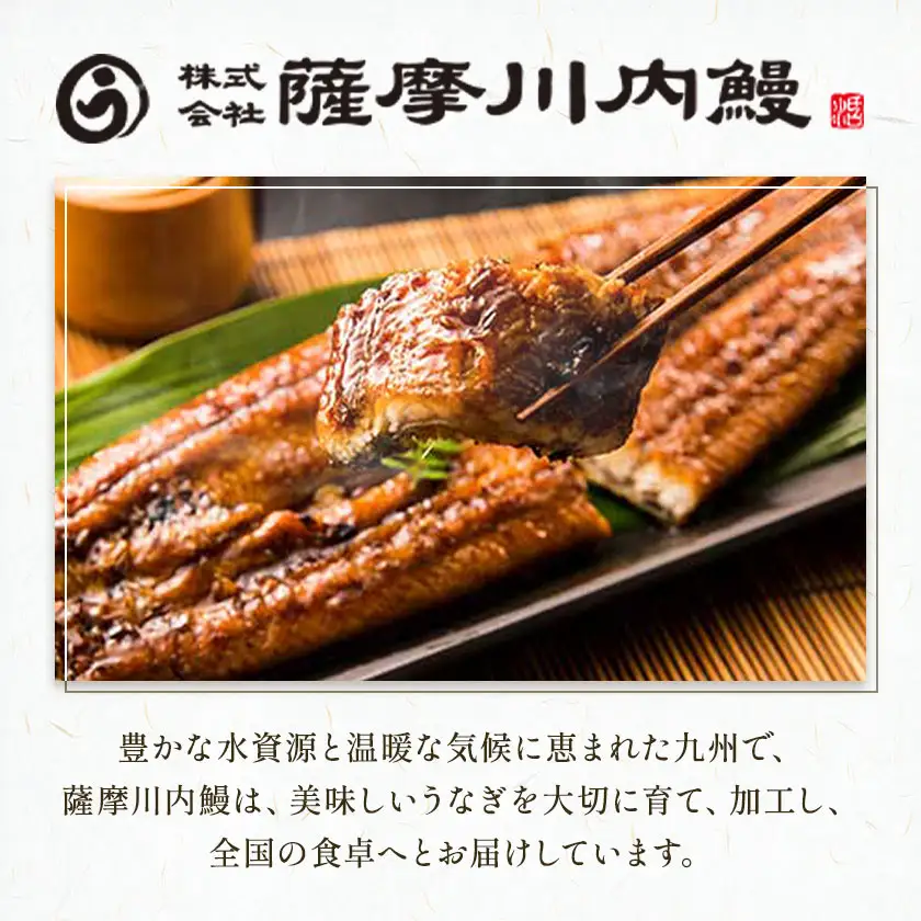 【父の日】 鰻 うなぎ 蒲焼き 2尾 (1尾約140g) タレ 山椒 付き 株式会社薩摩川内鰻《6月中旬-6月下旬頃出荷》