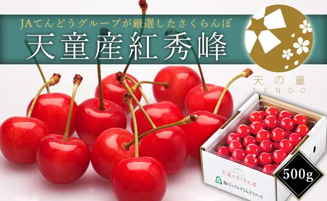 さくらんぼ ( 紅秀峰 ) 500g さくらんぼ 08-01-022