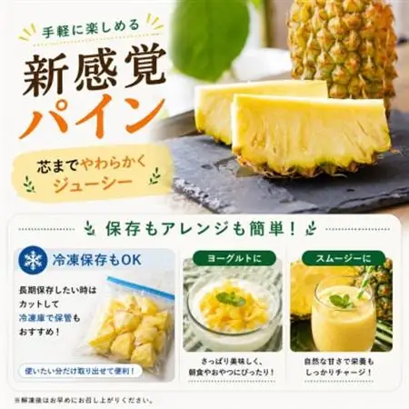 【2026年5月中旬から順次発送】今帰仁村パイン産地協議会 ポコットパイン2.4kg(3～5玉)【配送不可地域：離島】【1734538】