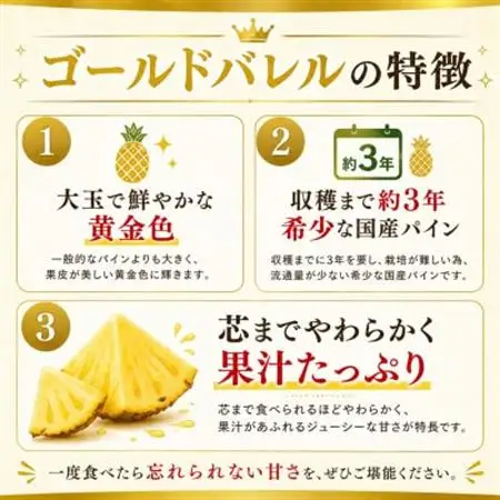 【2026年6月下旬から順次発送】今帰仁村パイン産地協議会 ゴールドバレル3.6kg(2～3玉)【配送不可地域：離島】【1734540】