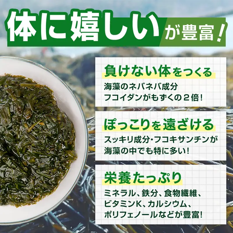 ≪3ヶ月連続でお届け！≫【定期便】山田湾産 天然プレミアム冷凍アカモク90食分（30g×30食）×3ヵ月 三陸山田 山田町 山田湾 海藻 ネバネバ ミネラル フコキサンチン フコイダン 健康食品 定期便 アカモク生産協同組合 YD-1082