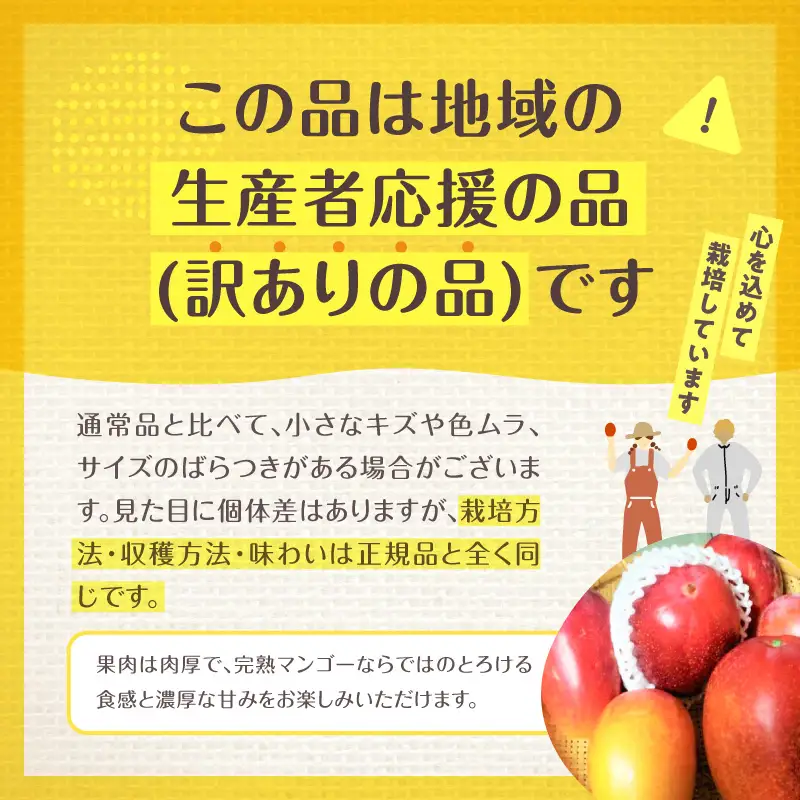 マンゴー 完熟 マンゴー 期間限定[数量限定 《2026年発送先行予約》 【訳あり】 宮崎県産鉢植え完熟マンゴー 熟赤の雫(あかのしずく) 1kg以上詰合せ フルーツ くだもの デザート]