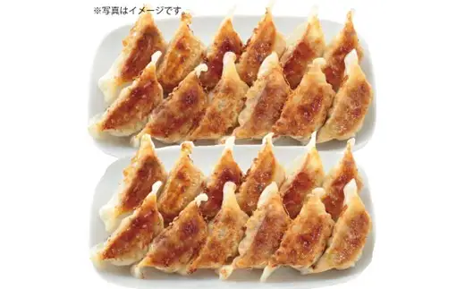 AB521.博多八助監修・うまかひとくち餃子（9セット）
