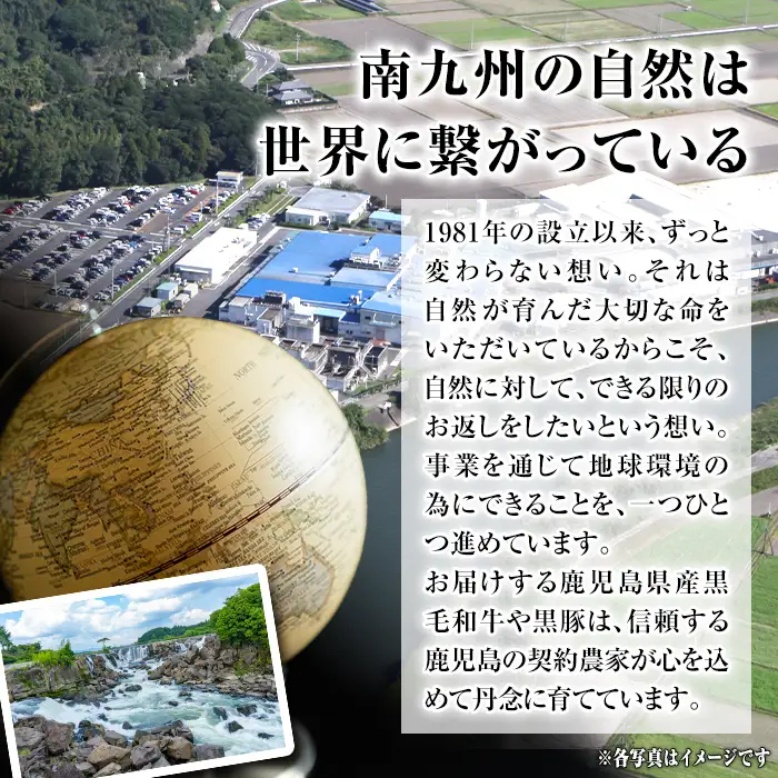 isa881 鹿児島県産黒毛和牛 肩ロース焼肉用(計600g・300g×2P) 4等級以上！ 国産 牛肉 霜降り 国産 牛肉 霜降り 家庭用 冷凍 【サンキョーミート】