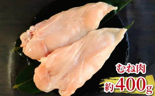 地鶏 愛媛 媛っこ地鶏 1羽セット 約2.5kg 鶏肉 鳥肉 肉 チキン むね肉 もも肉 ささみ レバー せせり ハツ 砂肝 焼肉 焼き鳥  BBQ 冷凍 国産 高級 タンパク質 低脂肪 糖質 唐揚げ チキン南蛮 サラダチキン スープ 出汁 モツ煮 ダイエット 愛南町 送料無料 ローカルスタンダード
