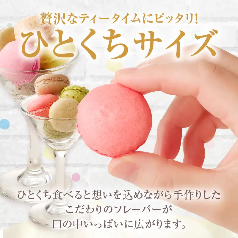 マカロン20個入（20種類）_26-346