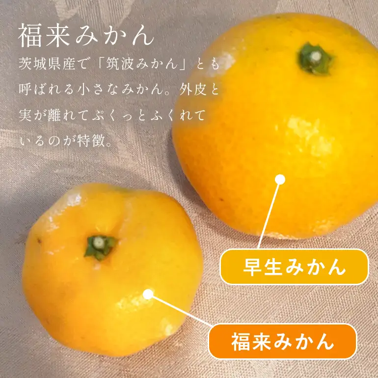 筑波の福来みかんマーマレード E24-001
