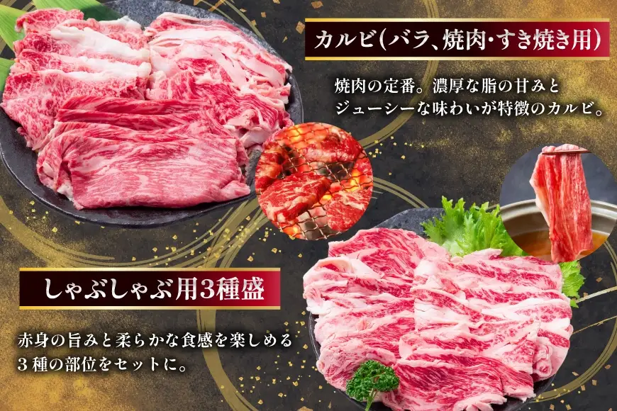 AJ669 【6回定期便】長崎和牛 トライアルコース 