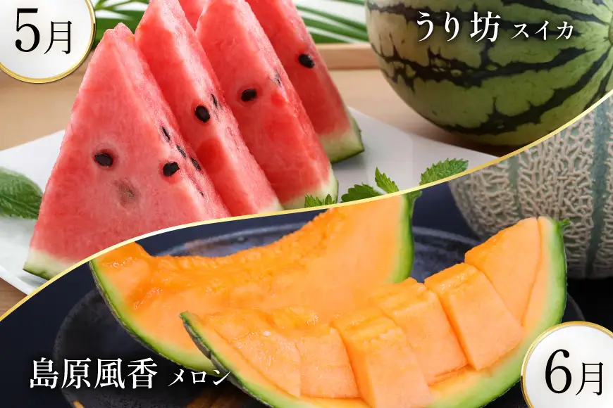 AJ699 【8回定期便】 夏のフルーツと長崎和牛 定期便 