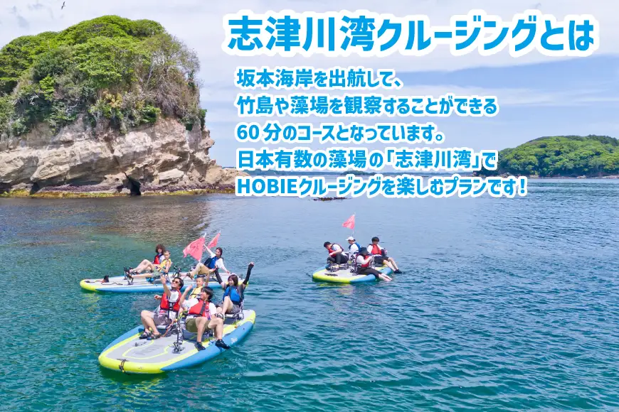 チケット 足漕ぎカヤック HOBIE 志津川湾 クルージング 体験 2名様分 [サスティナビリティセンター 宮城県 南三陸町 m304blw940000]