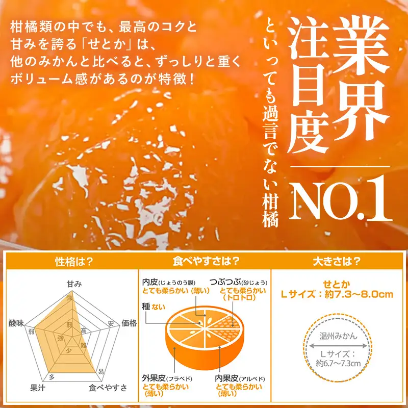 【先行予約】せとか（5kg）