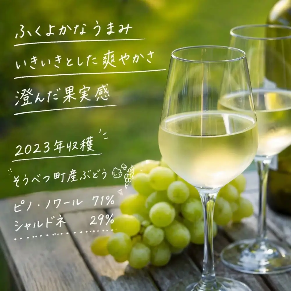 昭和新山ワイン YAMANOBE BLANC 2023(ヤマノベブラン）白ワイン 辛口 750ml 1本 SBTQ012