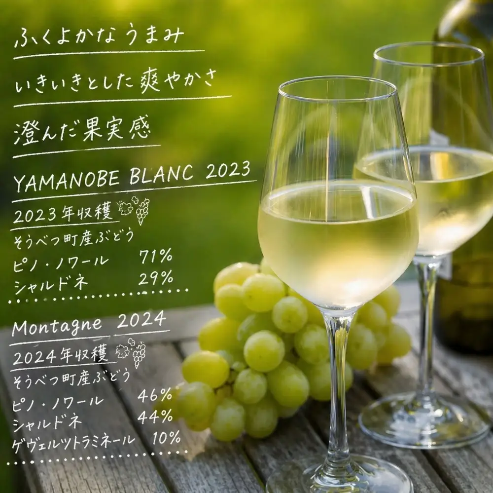 昭和新山ワイン YAMANOBE BLANC 2023(ヤマノベブラン）、Montagne 2024 無濾過(モンターニュ）白ワイン 辛口 750ml 各2本セット  SBTQ015