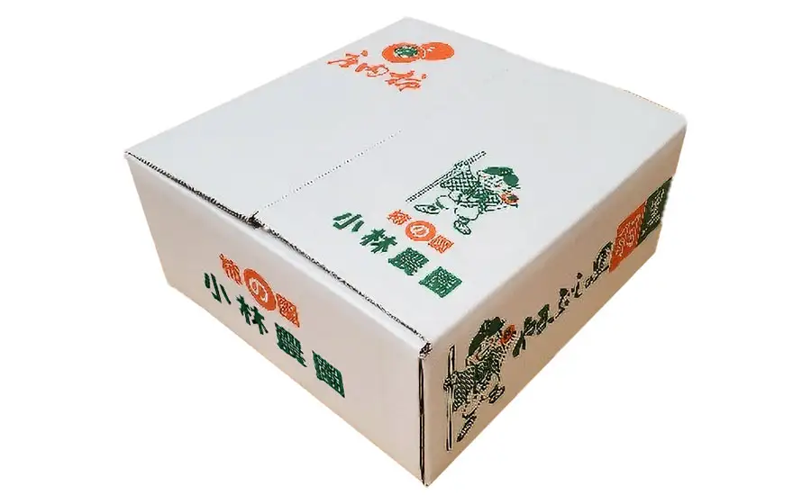 【令和8年産先行予約】　庄内柿　2Lサイズ　5kg（20～24個）　山形県鶴岡市　小林農園　| 柿 カキ 平核無柿 ひらたねなしかき 種無し柿 旬 期間限定 果物 フルーツ 甘い おいしい おすすめ お取り寄せ 返礼品