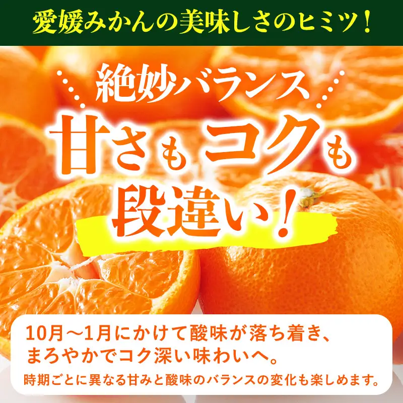 【先行予約】愛媛みかんバラ詰め（2kg）